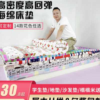 高密度高回弹海绵床垫 学生垫 地垫 沙发垫 榻榻米送套包邮可定做