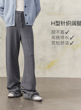 MSLAN冬季季重磅精纺绵羊毛混纺垂感针织条纹休闲灰色显瘦阔腿裤
