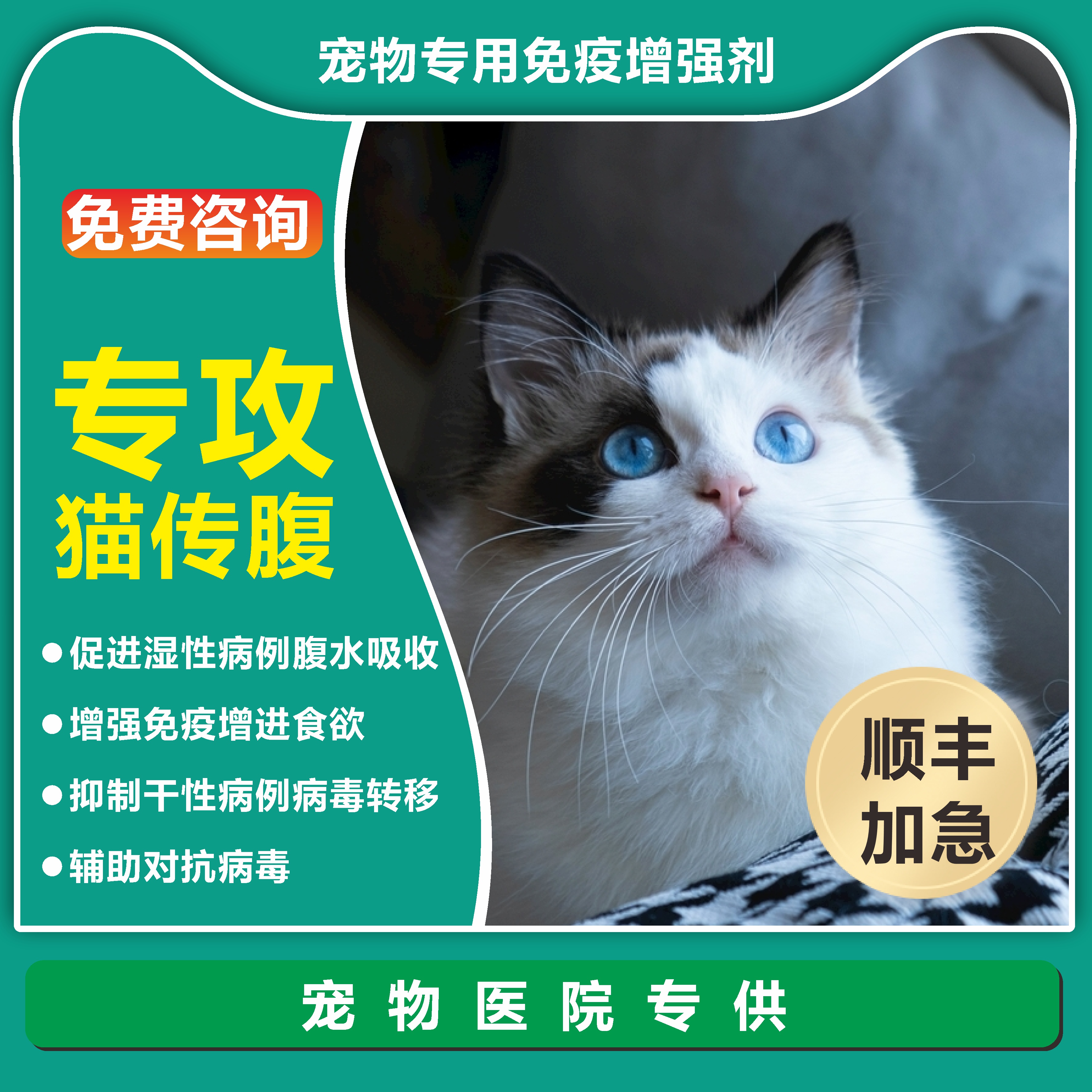 猫传腹口服补充剂治疗猫传腹引起的腹水肿大精神萎靡食欲不振