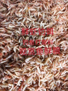 钓鱼打窝鲜虾料鲜鳞虾肉饵料钓鱼打窝料海钓虾海上打玑钓鲜腥味浓