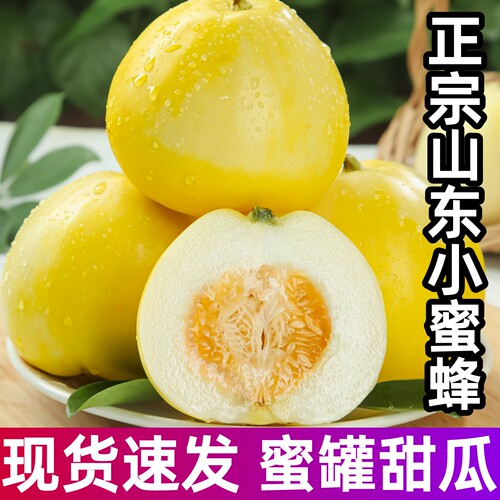 正宗小蜜蜂甜瓜头茬现摘