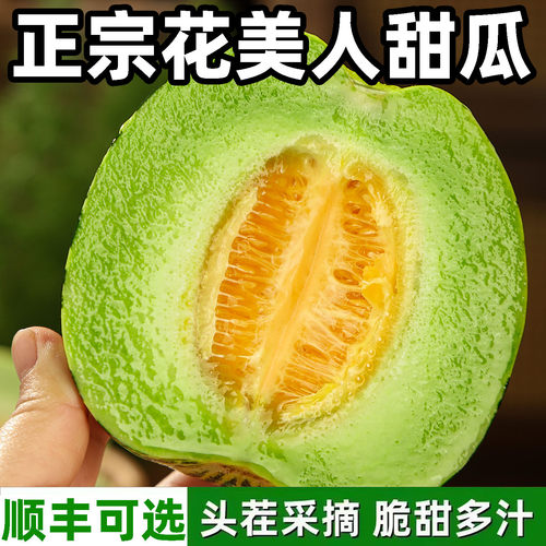 正宗花美人甜瓜头茬现摘