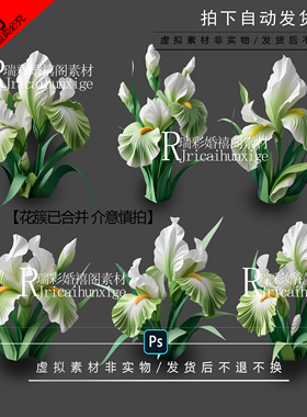 婚礼手绘道具素材白绿色鸢尾花花艺手绘道具素材PSD效果图源文件