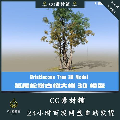 C4D老树古树3D模型狐尾松Blender大树Speedtree工程3DMAX FBX模型