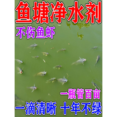 一滴清澈见底】鱼塘净水剂池塘变清鱼塘消毒杀菌净水药养鱼专用药