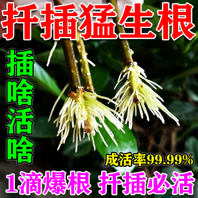 2024新款植物扦插生根剂生根液月季果树嫁接壮苗剂生根粉营养液