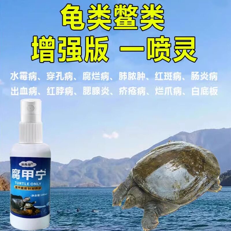 甲鱼专用药防治腐皮烂甲白斑穿孔病水产养殖老鳖乌龟塘消毒杀菌剂