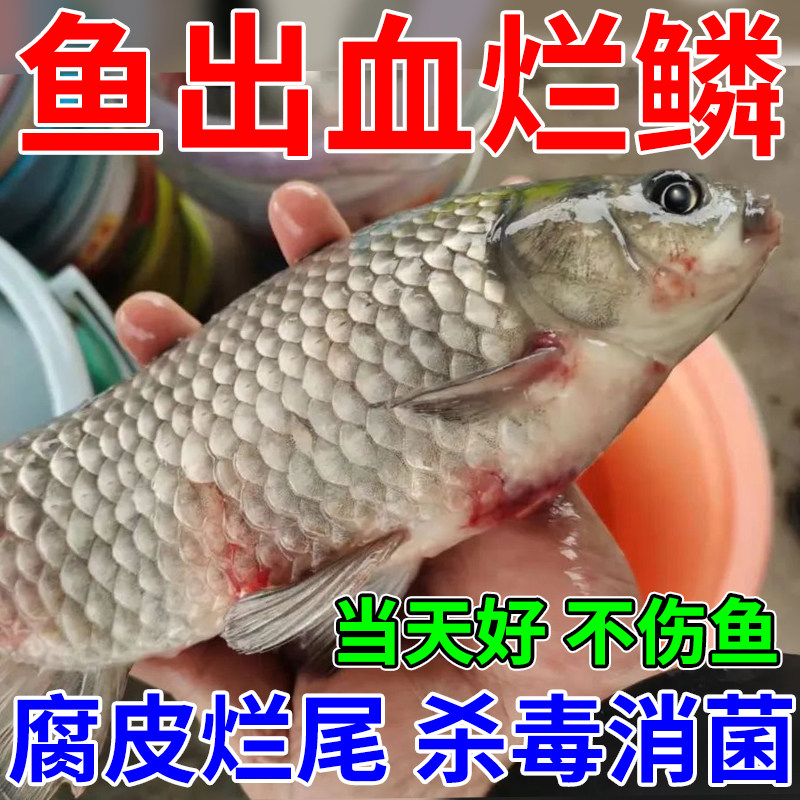 水产养殖专用药鱼塘鱼烂鳞烂尾烂鳃白毛腐皮鱼鳞充血红点长寄生虫