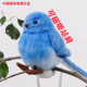 正品 中国国家地理毛绒玩具站肩仿真巨嘴鸟北美红雀儿童生日礼物