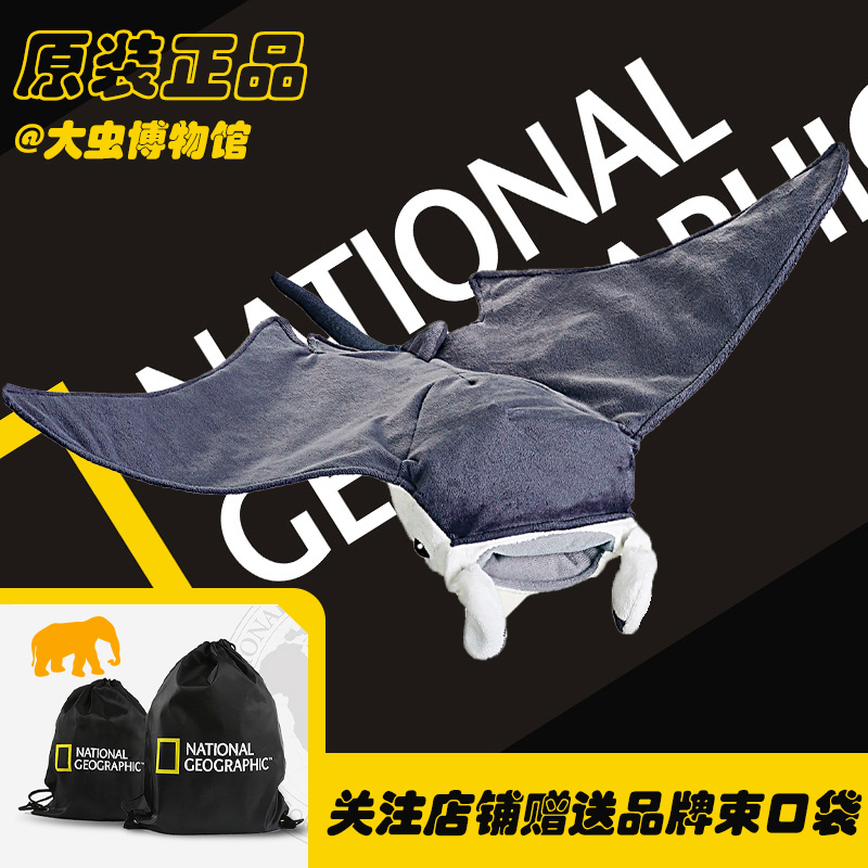 超大一条的魔鬼鱼蝠鲼