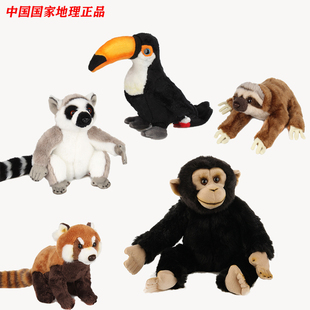 国家地理毛绒玩具雨林系列巨嘴鸟小熊猫生日礼物公仔树懒玩偶儿童