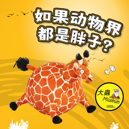 Rolling'wild圆滚滚解压捏捏乐
