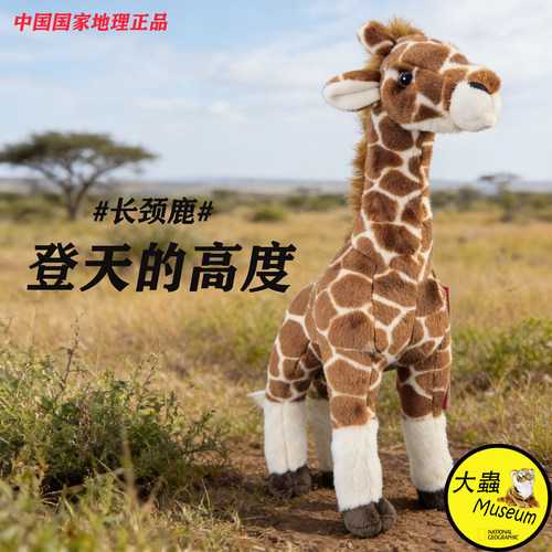 中国国家地理毛绒长颈鹿动物玩具