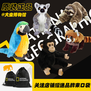 国家地理毛绒玩具雨林系列巨嘴鸟小熊猫生日礼物公仔树懒玩偶儿童