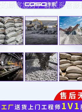 东莞索水SEC600泥异矿山卡金属物检测在线分体金属检测仪机器检金