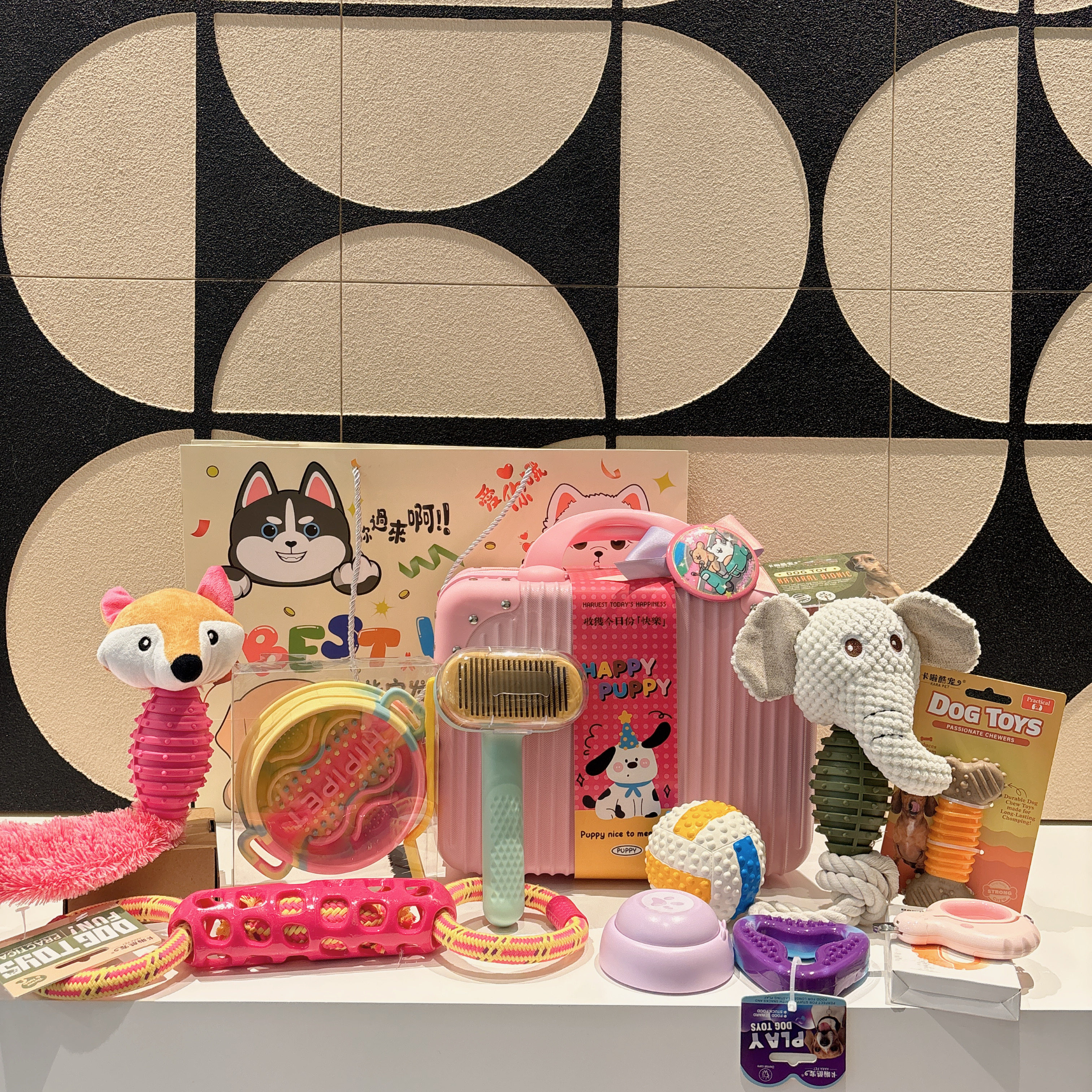 宠物生日伴手礼宠物周岁生日礼品宠物狗狗用品狗狗玩具狗狗磨