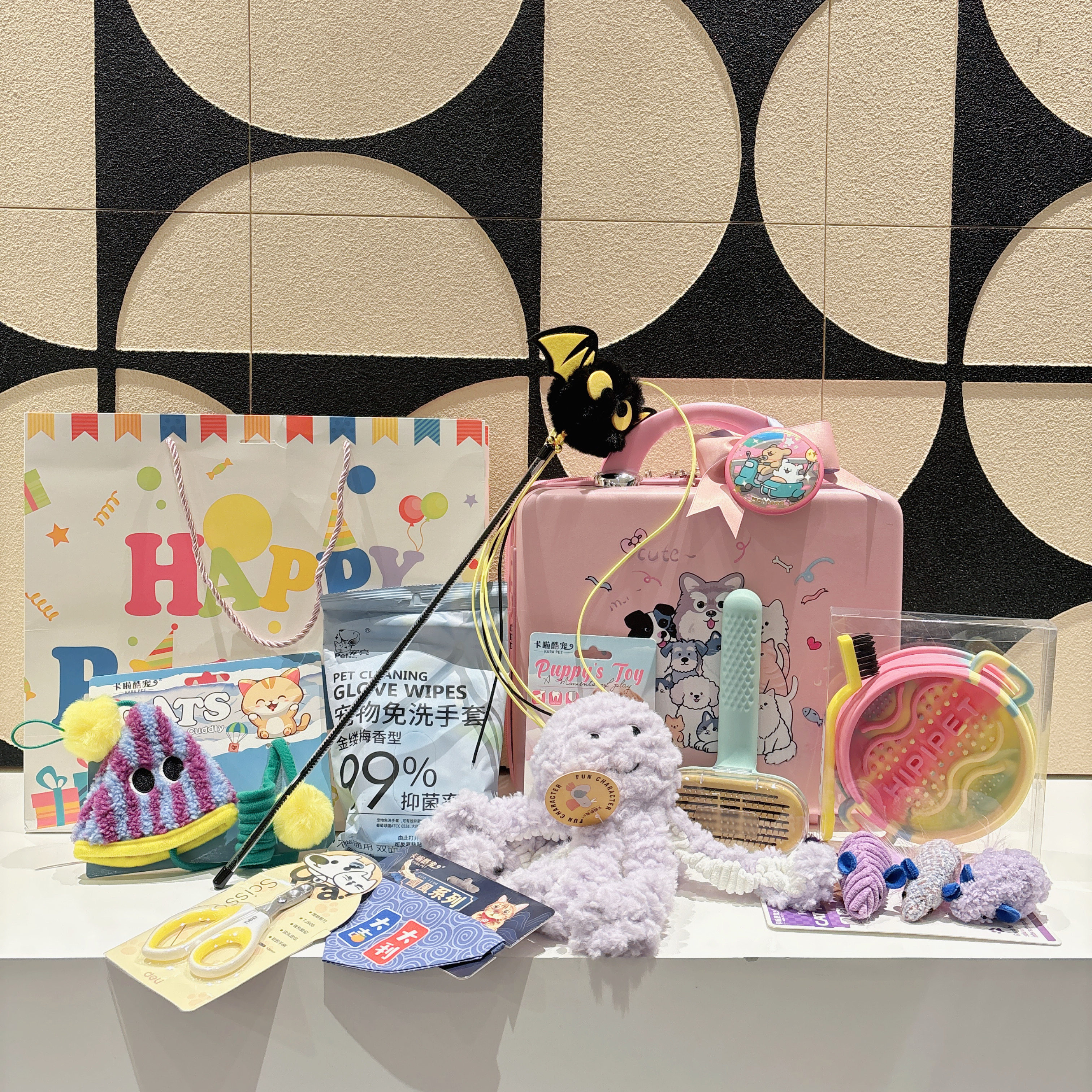 宠物生日伴手礼宠物猫咪周岁生日礼品宠物十岁生日礼品新年礼品