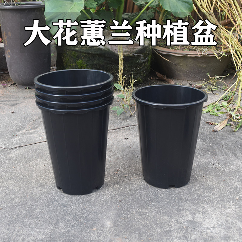 兰花盆塑料黑色大花蕙兰盆石斛蝴蝶兰君子兰国兰墨兰专用盆加高厚,鲜花速递/花卉仿真/绿植园艺,花盆,淘宝优惠券,粉丝福利购,淘宝优惠卷