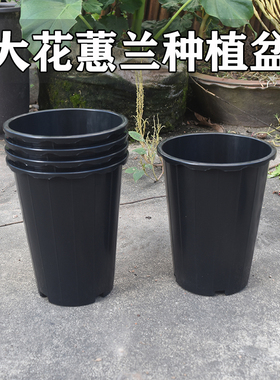 兰花盆塑料黑色大花蕙兰盆石斛蝴蝶兰君子兰国兰墨兰专用盆加高厚