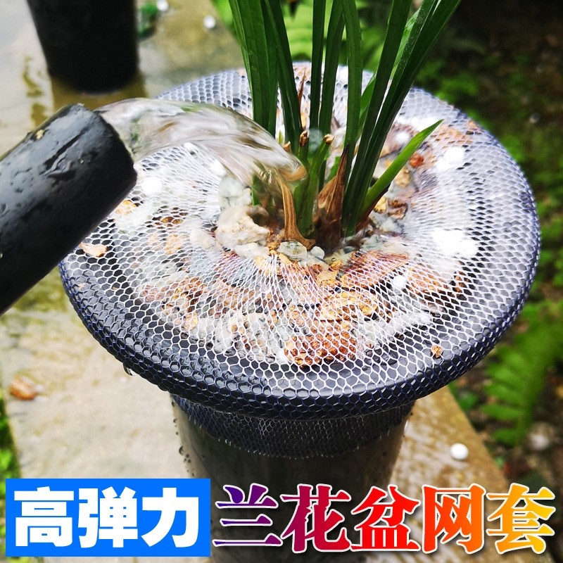 侬花村兰花盆专用网套兰花网套图片