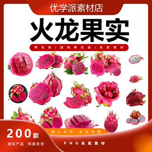 手绘实物火龙果红龙果龙珠果仙蜜果玉龙果PNG免抠元素设计素材