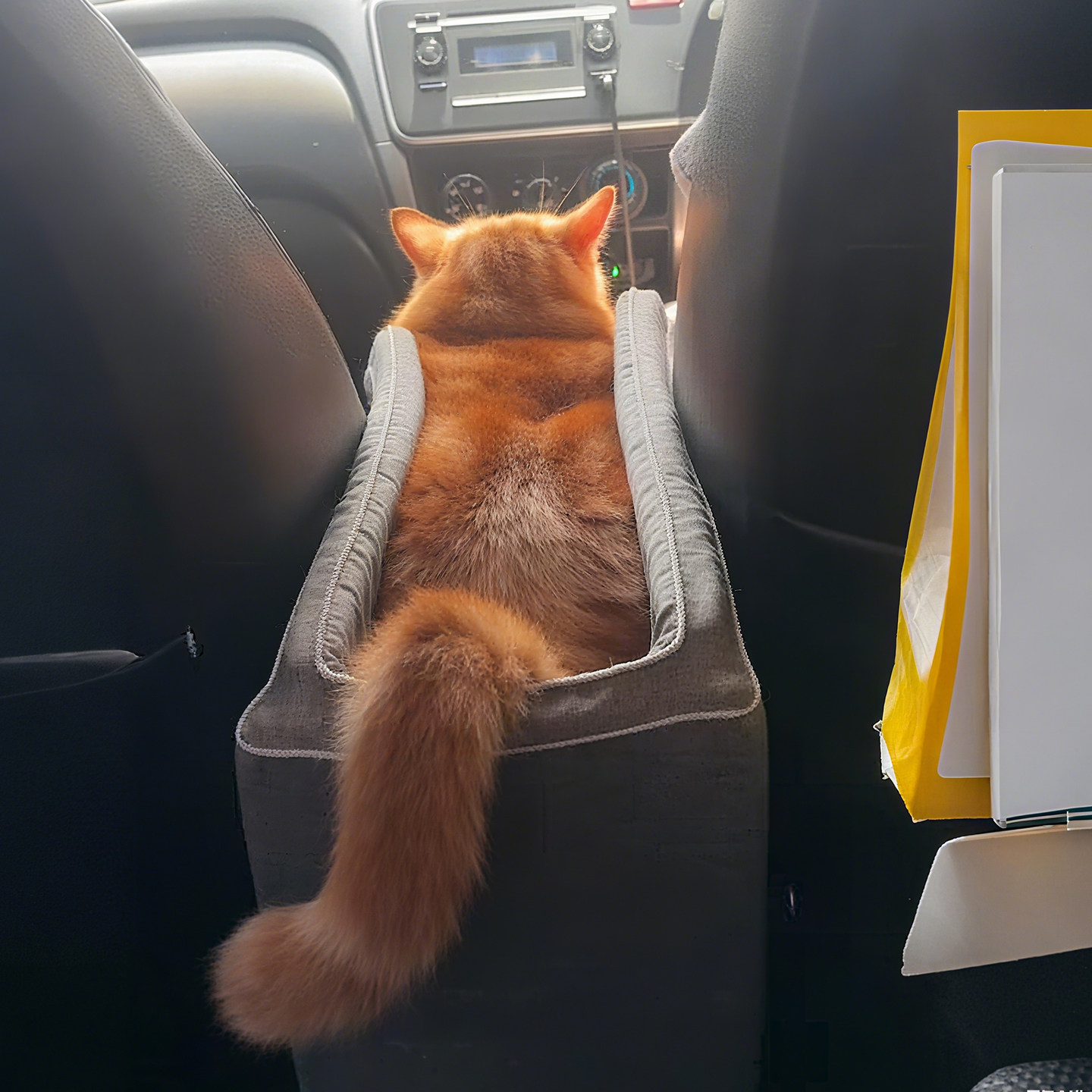 宠物座椅|猫咪出行宠物车载垫中控窝小型犬外出前后排坐车垫,宠物/宠物食品及用品,猫狗车载垫,淘宝优惠券,粉丝福利购,淘宝优惠卷