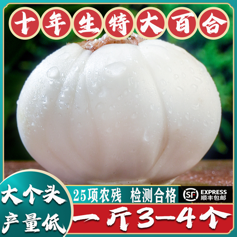 甘肃特产兰州百合农甄匠
