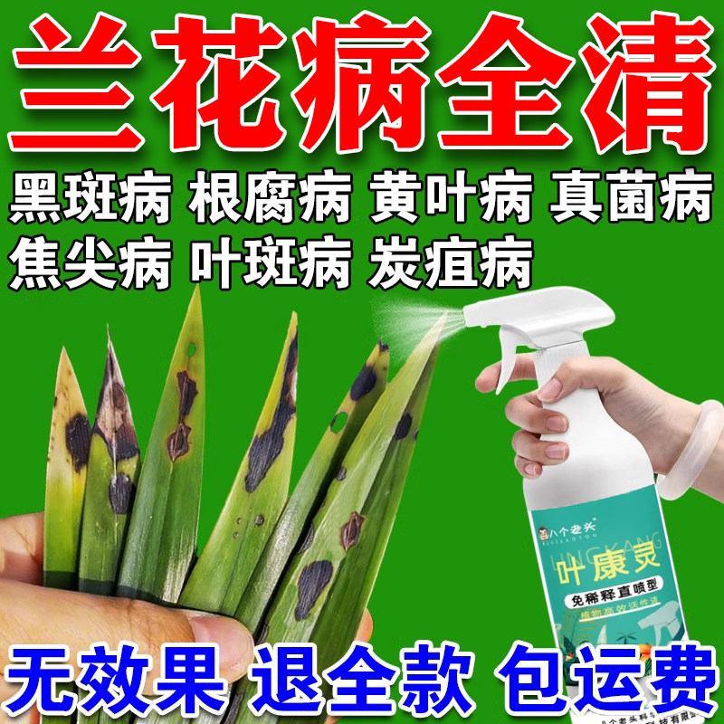 叶康灵兰花专用杀菌药治叶子黑斑病黄叶焦尖烂根兰花系专用营养液图片