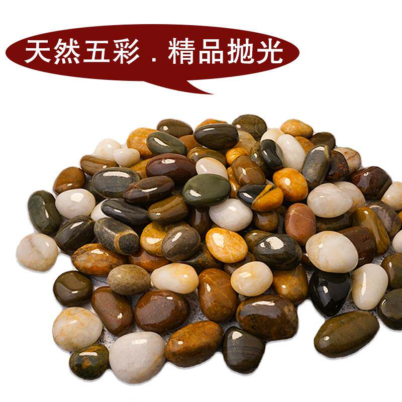新款彩色鹅卵石雨花石原石精品抛光天然小石头庭院铺地阳台造景软