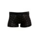 STAR Gravevault STUDS SML 日本直邮Gravevault 平角短裤 Short