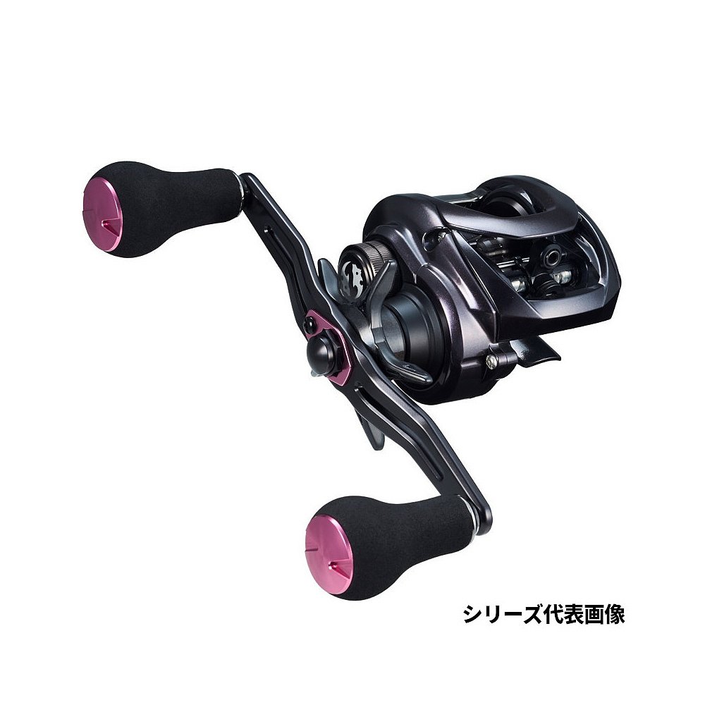 日本直邮Daiwa Jigging Reel Beniga 100H右手柄 23年型号