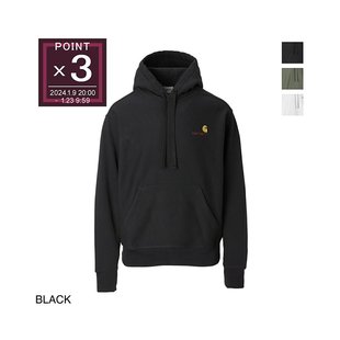 日本直邮カーハート WIP Carhartt ワークインプログレス パーカ