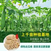 天然丝瓜络百洁布厨房清洁洗碗布绿色健康环保清洁用品