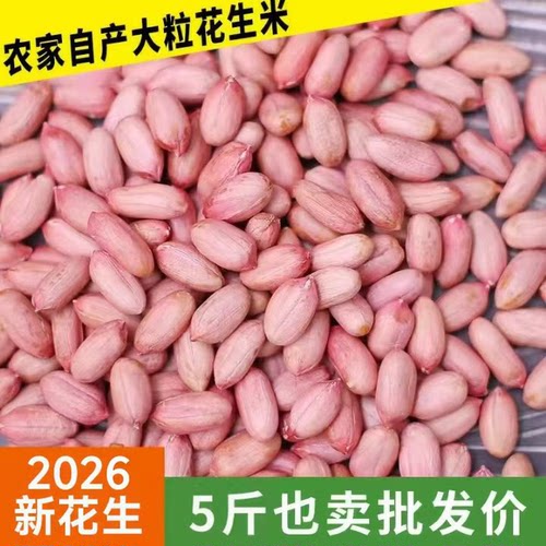 鲁果美仁2026山东特大花生榨油