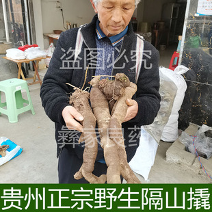 贵州野生白隔山橇隔山消山瓜蒌牛皮消飞来鹤白首乌隔山隔山撬新鲜