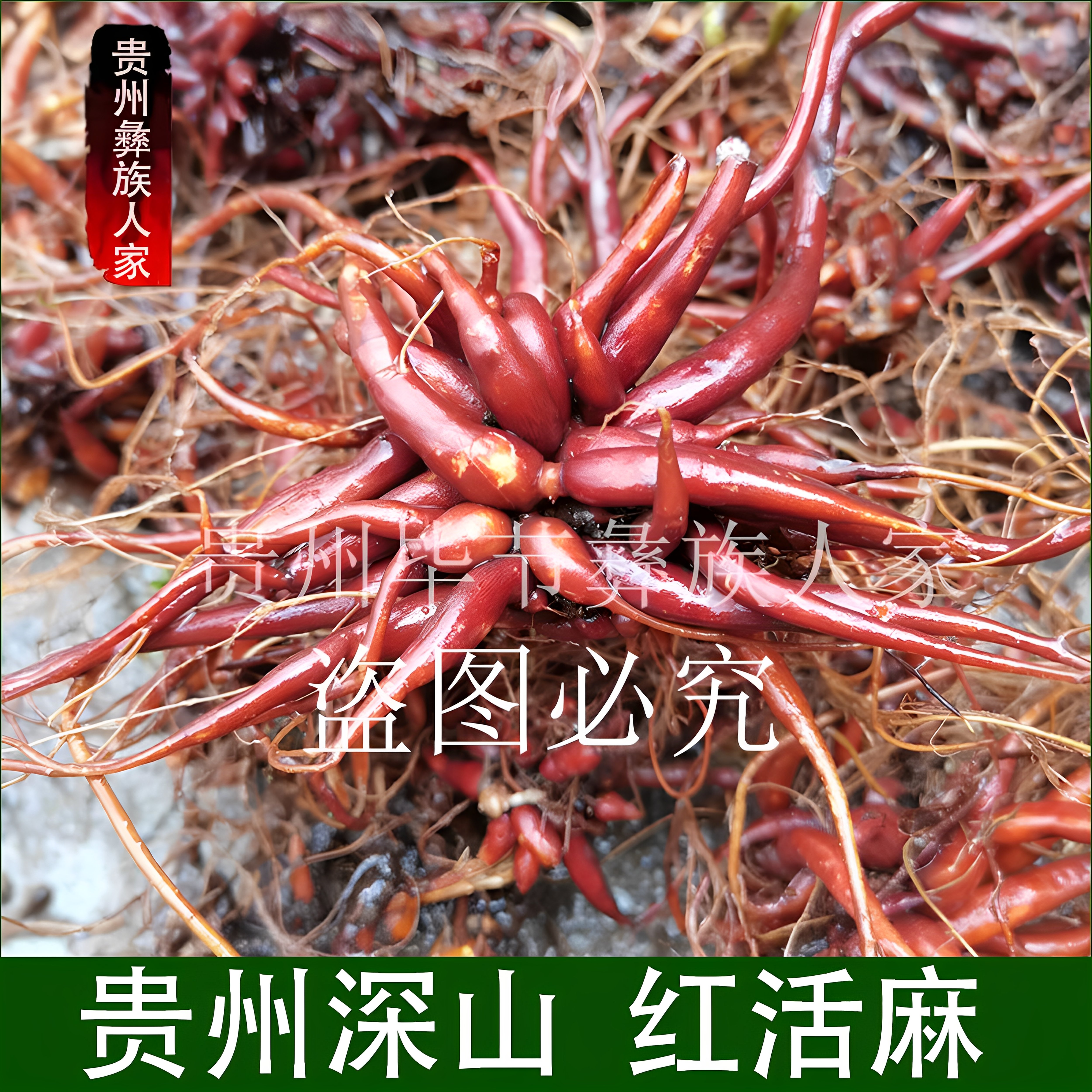 贵州野生红活麻根中药材红麻根红麻草根红麻根红麻根红麻根