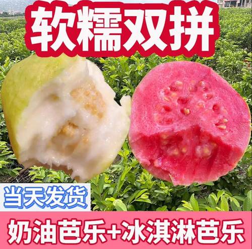双拼芭乐番石榴红白心芭乐软糯香甜奶油芭乐产地直发新鲜水果芭乐