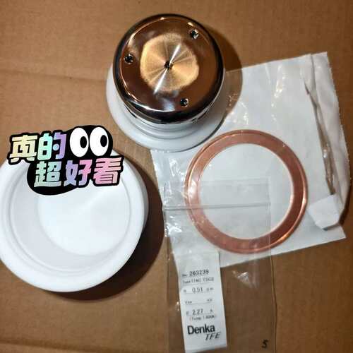 议价Denka TFE 热电偶 174C TSC2 SN 26