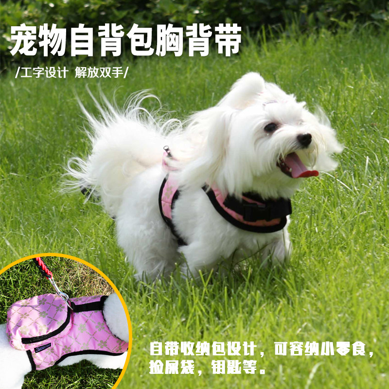 狗狗胸背带项圈小型犬大型犬狗绳图片