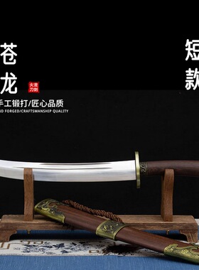 龙泉火龙刀剑苍龙清刀花梨木高碳钢一体长中短款腰刀冷兵器未开刃
