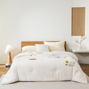 2024A类李官奇大豆被全棉二合一子母被秋冬保暖被子被芯加厚保暖