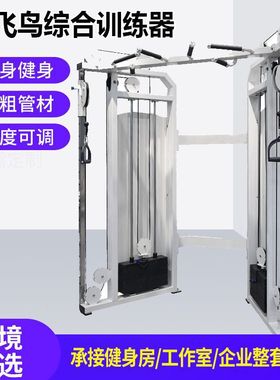 斯博锐 P817商用健身小飞鸟多功能双臂训练器龙门架综合训练