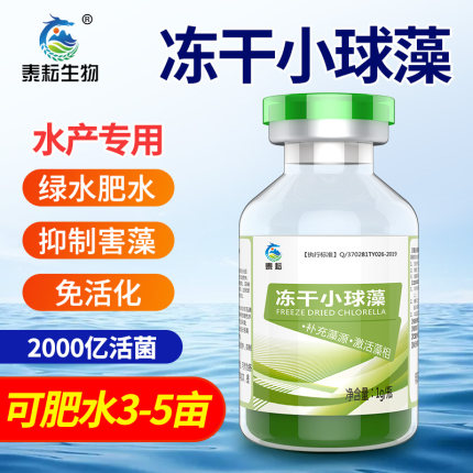 小球藻水产养殖专用鱼虾蟹塘肥水培藻绿水浓缩小球藻种卵囊藻绿藻
