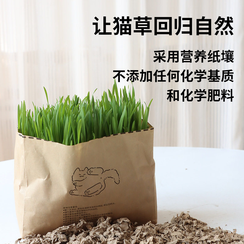 新品懒人猫草小麦土栽培袋装｜助