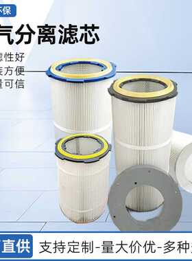 供应油气分离滤芯100005424折叠滤芯行业标准个油气分离过滤材料