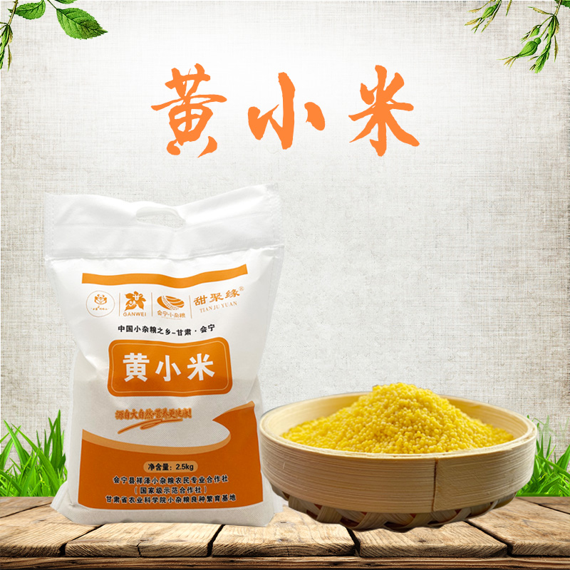 甘肃会宁黄小米，甘肃特产会宁特产，油小米早餐营养粥，养胃粥