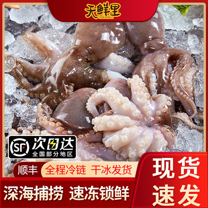 天鲜里软足类章鱼肥嫩冷冻小章鱼国产海鲜水产八爪鱼新鲜冰鲜活冻