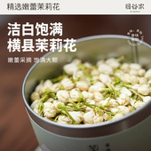 目谷家茉莉花茶2024新茶浓香茉莉花搭金银花菊花组合三花茶泡水喝