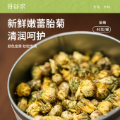 目谷家胎菊茶40克罐装 泡茶泡水喝花草茶 头期采摘桐乡胎菊正品