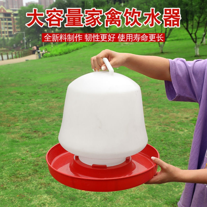 水槽饮水壶水桶小鸡喝水饮水器自动喂水器喂鸡水壶养鸡设备用品